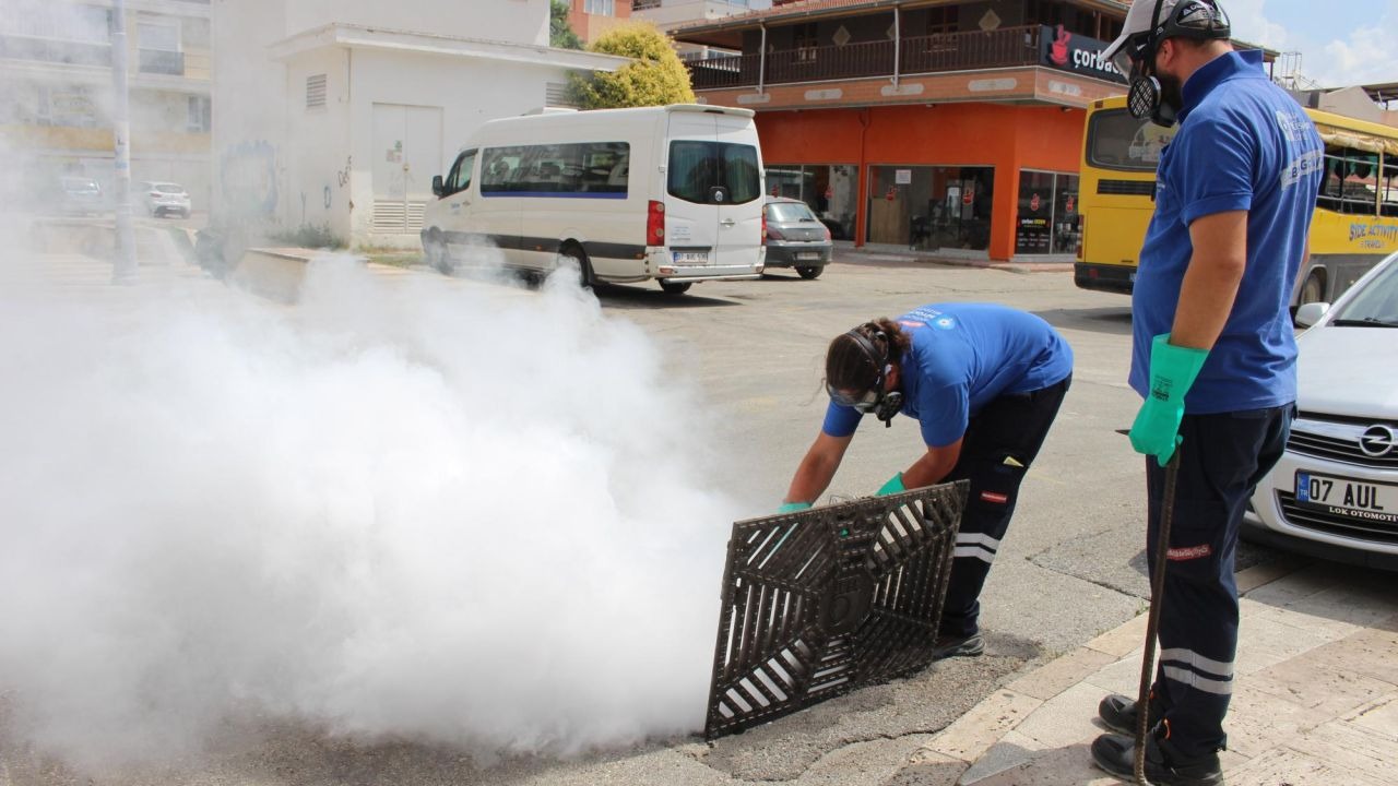 19 ilçede vektörle yoğun mücadele