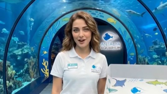 Akvaryum yönetiminden dijital dolandırıcılara suç duyurusu