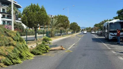 Alanya’da alkollü sürücünün kullandığı midibüs refüjü aşıp karşı şeride geçti