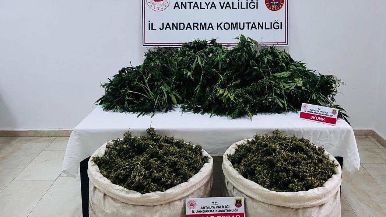 Antalya’da uyuşturucu operasyonunda 11 kilo 100 gram kubar esrar ele geçirildi
