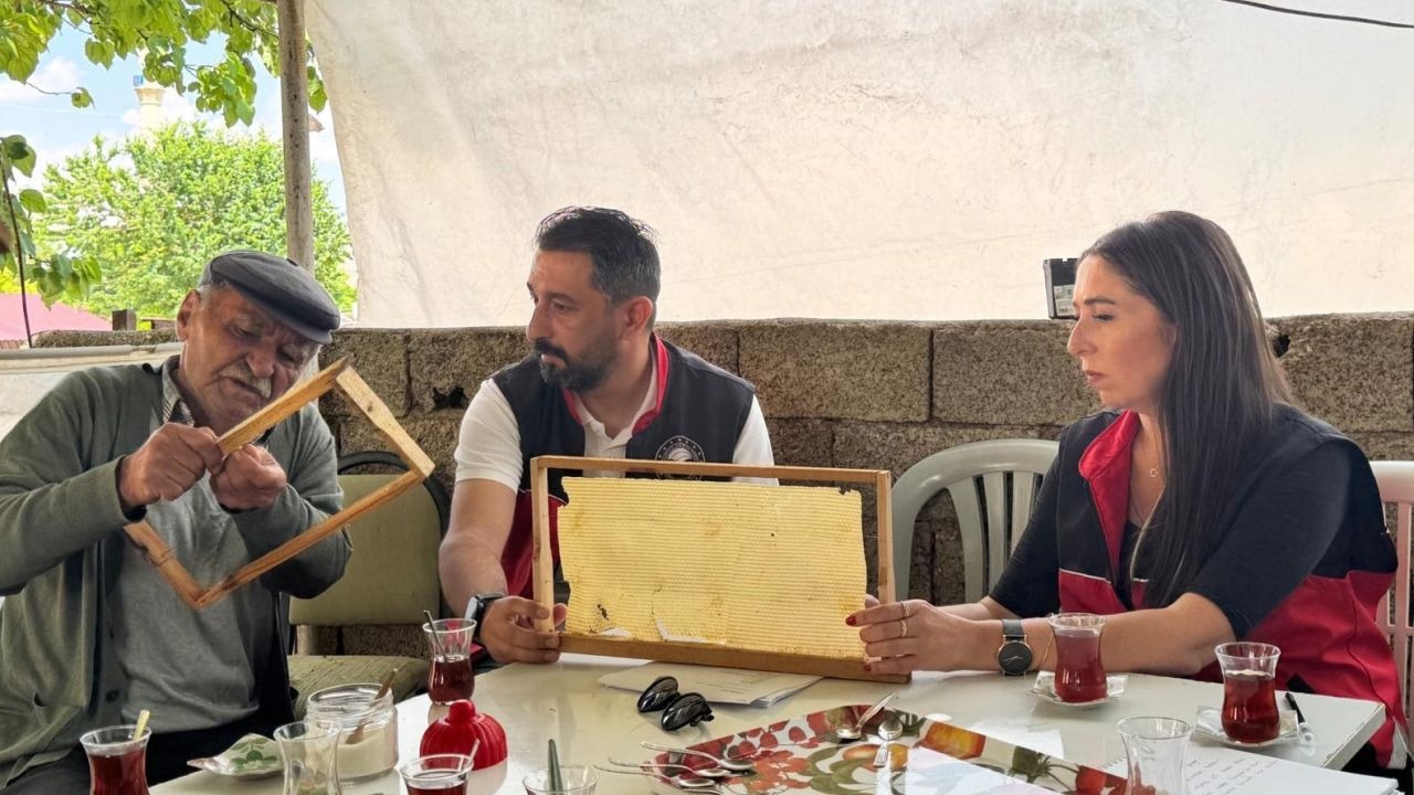 Çakmak balı için saha incelemesi