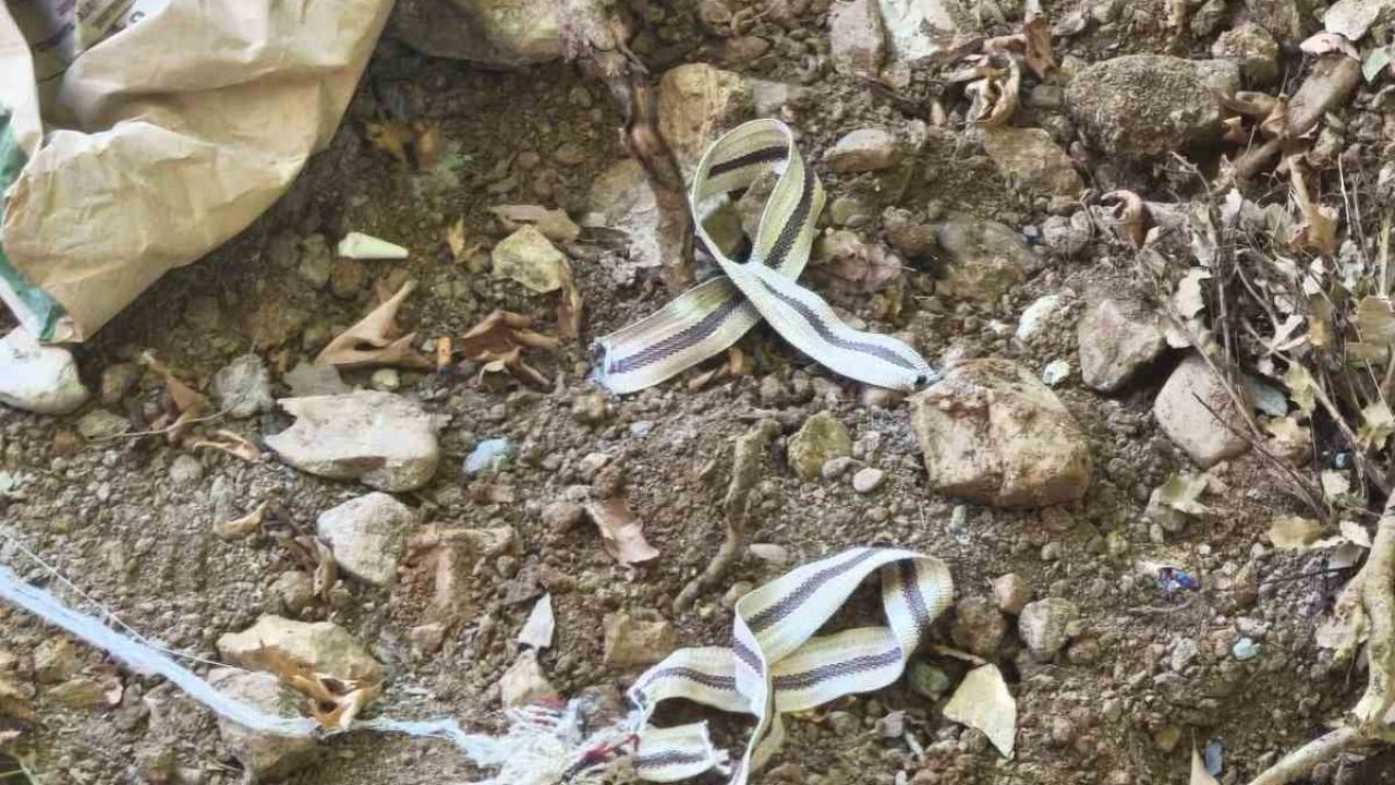 Devriye gezen jandarma son anda fark etti, bir hayat kurtuldu