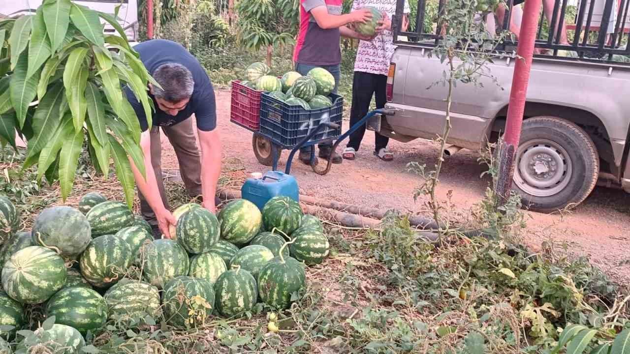 Hayırsever çiftçinin tarlası bu yıl öğrencilerin için hasat edildi