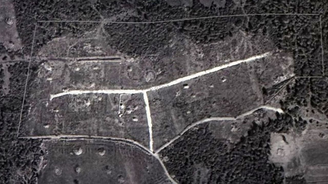 YİKOB ve Büyükşehir Belediyesi personeli ormanı bölüşmüş